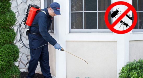 Yığılca Böcek İlaçlama böcek ilaçlama ve haşere kontrolü — ilaclama-tr.com